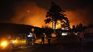  Yangın çıkan illerde son durum: Antalya, Bodrum, Köyceğiz, Kemer, Fethiye, Milas, Manavgat! 2 Ağustos 2021