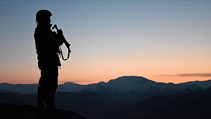 İçişleri Bakanlığı: PKK'dan kaçan 1 örgüt mensubu daha teslim oldu