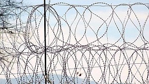 İngiltere, Polonya'nın Belarus sınırını güçlendirmesine destek verecek