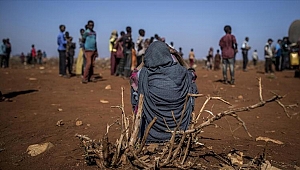 Somali için korkutan uyarı: 7,7 milyon kişi tehlikede...