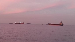 İskenderun Körfezi'nde alarm! Dinamit yüklü konteyner denize düştü