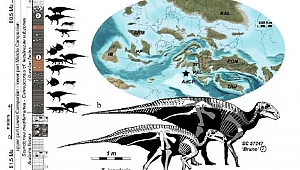İtalya’da dinozor sürüsü kalıntıları keşfedildi