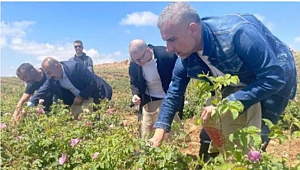 Berdan Mardini gül topladı