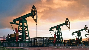 Petrol krizine OPEC+'tan yeni çözüm: Temmuzda başlayacak