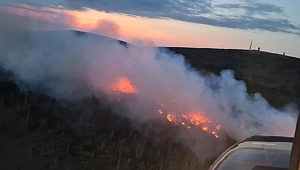 Almanya’daki Harz Dağları'nda orman yangını