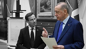 İsveç, PKK yanlısı eski vekilin sözleri ile sarsıldı: Erdoğan'ın karşısında diz çöktük