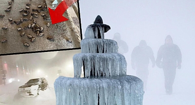 Fırtına kâbusa dönüştü: Gökten yarasa yağdı! ABD'de ölü sayısının artmasından endişe ediliyor...