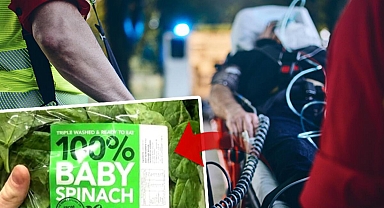 Ispanak yiyenler halüsinasyonlar görmeye başladı...Avustralya'da alarm!