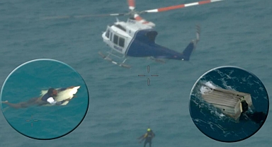 Köpekbalıkları ve timsahların arasında 24 saat bir tahta parçasına tutundu! Filmleri aratmayan kurtuluş...