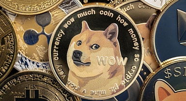 Kripto para dünyasının ünlü köpeğinden üzücü haber