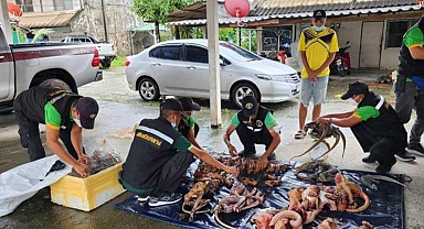 Otomobilinden onlarca vahşi hayvan cesedi çıktı!