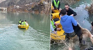 Suların yükseldiği Yusufeli’nde mahsur kalan köpek, botla kurtarıldı