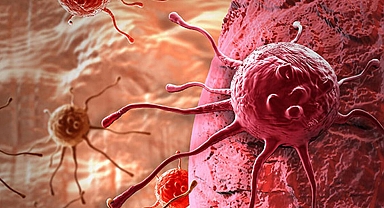 ABD'de kanserden ölüm oranı son 30 yılda yüzde 32 azaldı