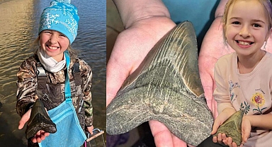 ABD’li küçük kız, sahilde Megalodon köpekbalığının dişini buldu