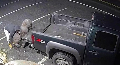 Antika dükkanından goril heykeli çaldı