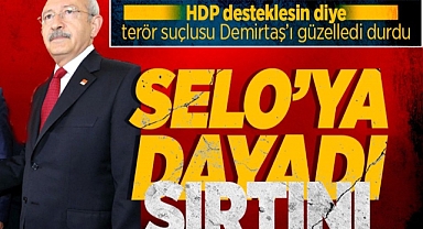 HDP Seçmeni Kılıçdaroğlu Adaylığına Sıcak Bakıyor