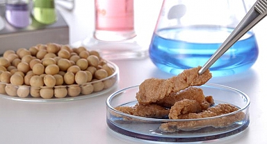 Laboratuvarda üretilen yapay tavuk etinden yedi, yorumu herkesi şaşırttı! 