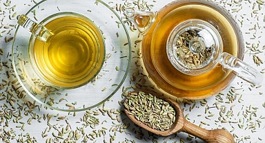 Balgam söktüren şeyler neler? Bu bitkiler balgama karşı birebir!