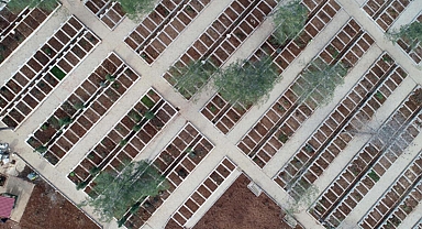 Depremde hayatını kaybeden binlerce kişi yan yana toprağa veriliyor