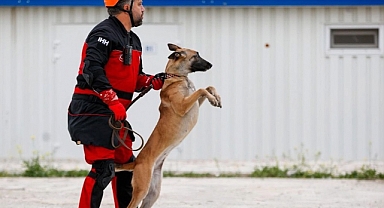 İHH'nın arama kurtarma köpekleri 50 kişinin kurtulmasına vesile oldu