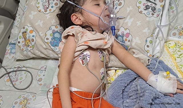 4,5yıl önce Tekin ailesinin dünyası başına yıkıldı