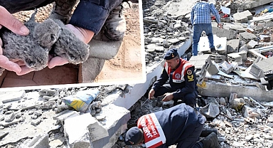 Osmaniye'de enkazda kalan 5 yavru kedi kurtarıldı