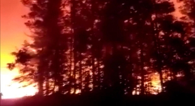 Şili'de orman yangınlarında can kaybı 13'e yükseldi