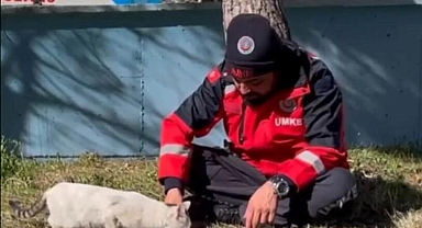 UMKE personeli, sokak kedisi ile yemeğini paylaştı
