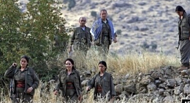 'KÜRTLERİN EN BÜYÜK SIKINTISI, PKK'