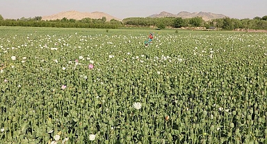 Taliban'dan et yasağı! Pazar günleri ne satılabilecek ne tüketilebilecek! Gerekçesi ise...