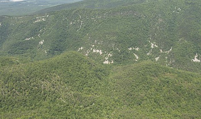 ABD'li milyarder iş insanının kızı ve torunu uçak kazasında öldü
