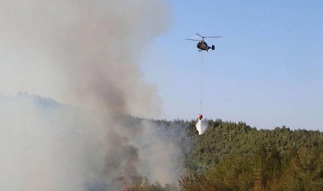 Adana'da orman yangını! Yüzlerce personel ile müdahale etti: 3 saatte kontrol altına alındı