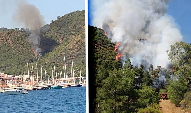 Antalya ve Muğla'da orman yangınları! Ekipler karadan ve havadan müdahale ederken, yanan alanda ceset bulundu