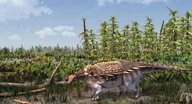 Yeni bir dinozor türü keşfedildi