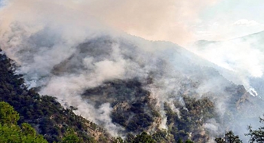 Bolu'daki yangın 3 gündür söndürülemiyor! Havadan ve karadan müdahale devam ediyor...