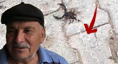 İlginç görüntüler Adana'da kaydedildi!