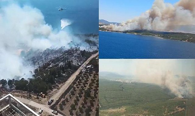 İzmir'de 2 ilçede birden orman yangını!