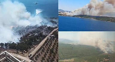 İzmir'de 2 ilçede birden orman yangını!