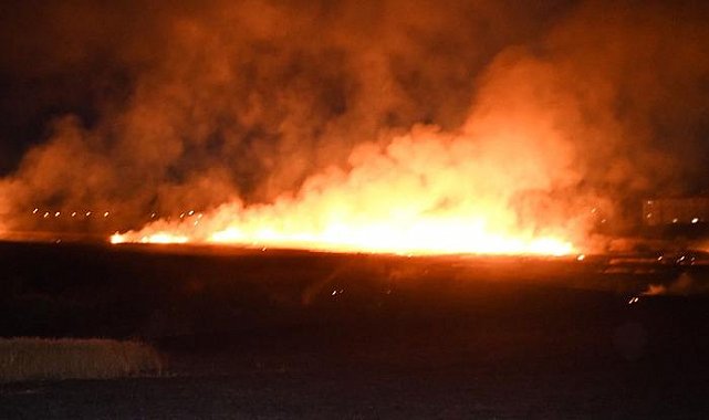 Keşan'da buğday ekili alanda yangın çıktı: 100 dönüm arazi kül oldu!