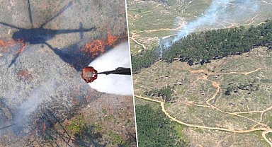 Muğla’da orman yangını
