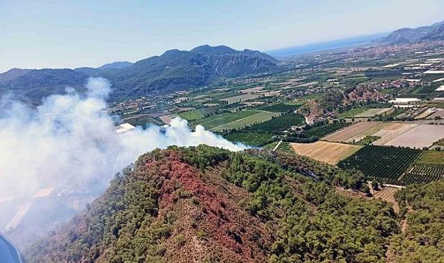Muğla Ortaca'da orman yangını! Havadan ve karadan müdahale ediliyor
