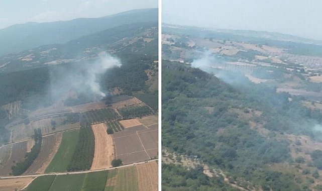 Bursa'da üç ilçede 4 farklı noktada yangın!