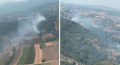 Bursa'da üç ilçede 4 farklı noktada yangın!