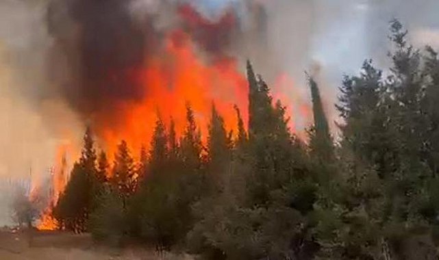 Çanakkale'de orman yangını! 7 hektar alan zarar gördü