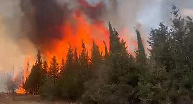 Çanakkale'de orman yangını! 7 hektar alan zarar gördü