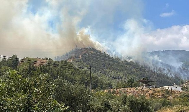 Hatay'da orman yangını! Havadan ve karadan müdahale başladı; valilikten açıklama geldi