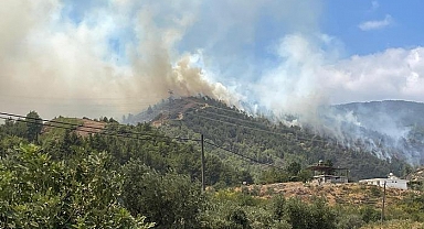 Hatay'da orman yangını! Havadan ve karadan müdahale başladı; valilikten açıklama geldi