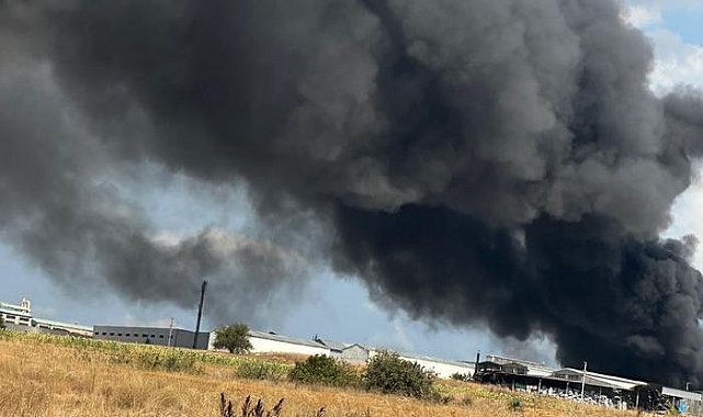 Tekirdağ'da bir fabrika alevlere teslim oldu! Dumanlar kentin her yerinden görüldü... Peş peşe patlamalar