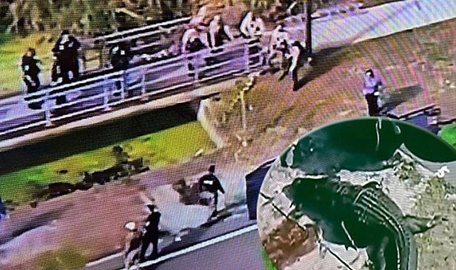 Devasa timsah ağzında cansız bir adamın bedeni ile Florida sokaklarında gezdi