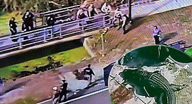 Devasa timsah ağzında cansız bir adamın bedeni ile Florida sokaklarında gezdi